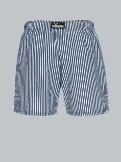 Bade-/Freizeitshorts mit Druckmotiv Navy