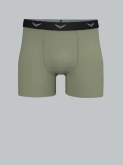 Bequeme Pants mit Webgummibund Salbei