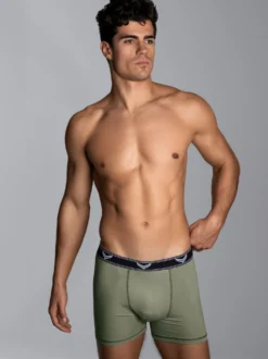 Bequeme Pants mit Webgummibund Salbei