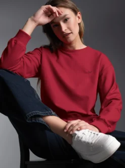 Dünnes Sweatshirt Rubin