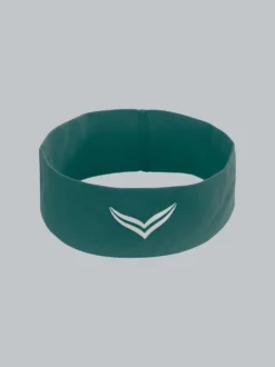 Haar-/Stirnband Efeu