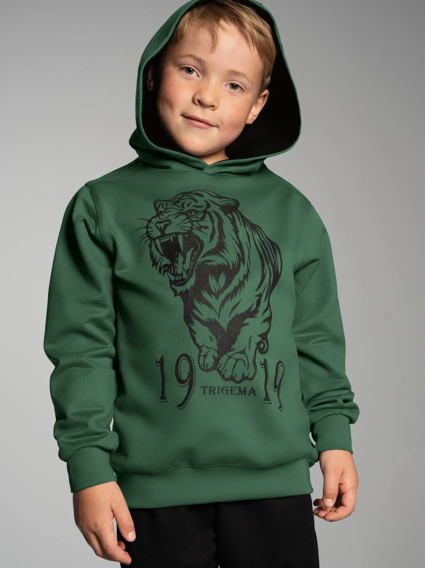 Hoodie mit großem Tiger-Printmotiv Efeu