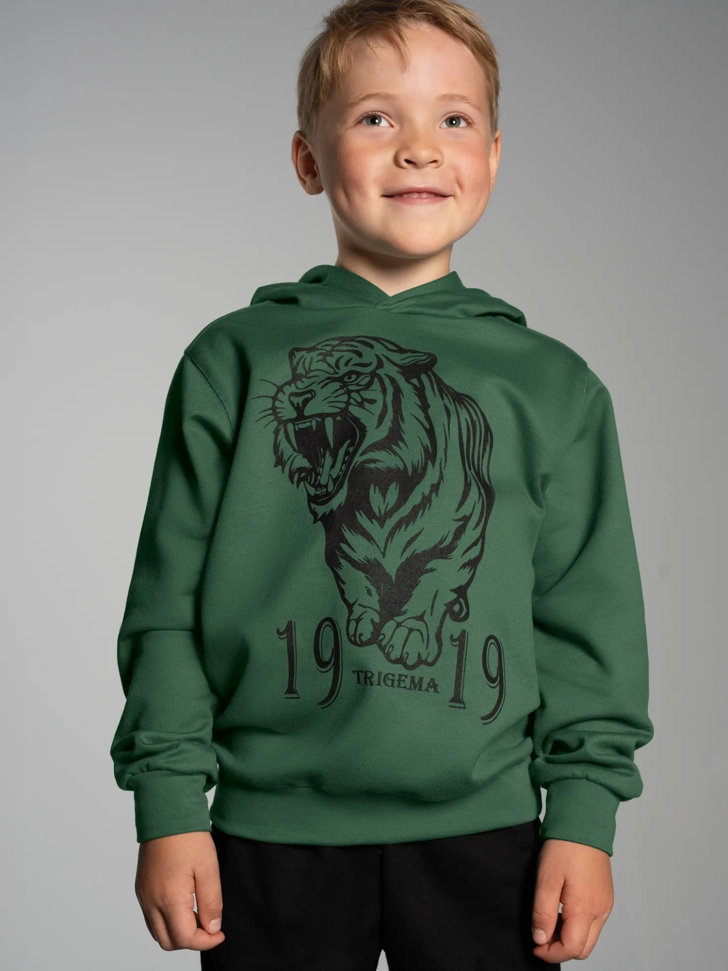 Hoodie mit großem Tiger-Printmotiv Efeu