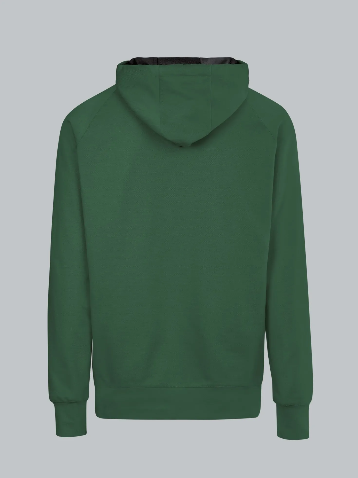 Kapuzensweatshirt aus Biobaumwolle Efeu