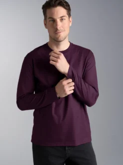 Langarmshirt aus 100% Baumwolle Aubergine