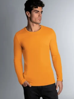 Langarmshirt Curry