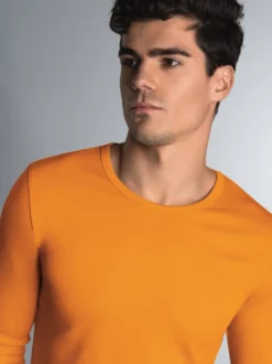 Langarmshirt Curry