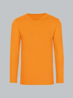 Langarmshirt Curry