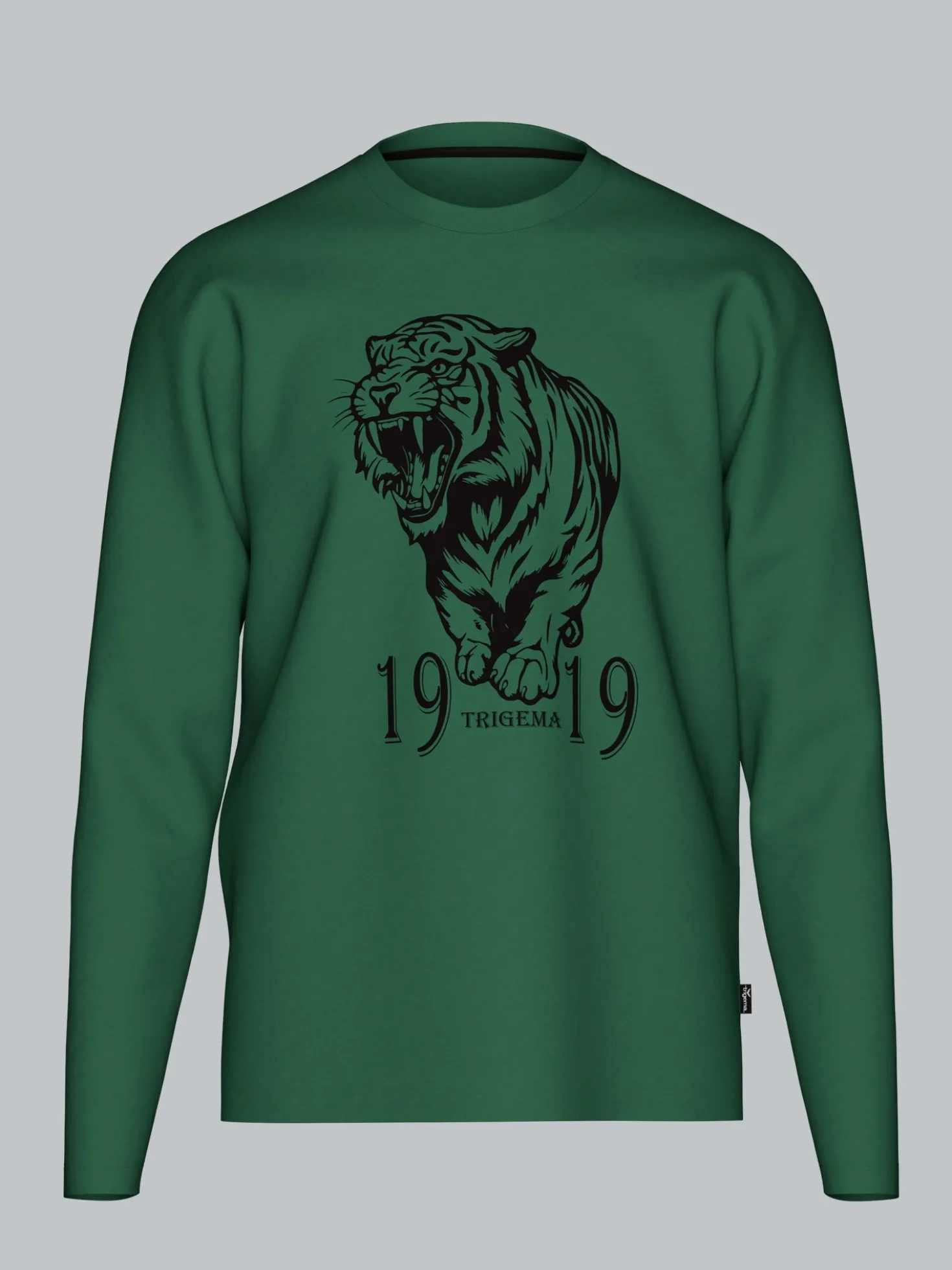 Langarmshirt mit großem Tiger-Printmotiv Efeu