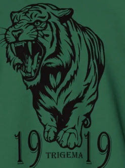 Langarmshirt mit großem Tiger-Printmotiv Efeu