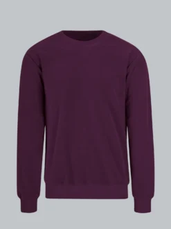 Nicky-Shirt Aubergine