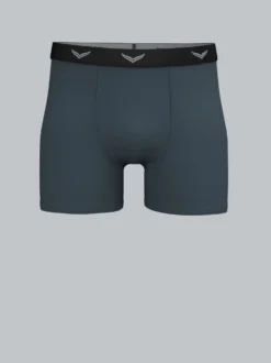 Pants aus Baumwolle/Elastan Anthrazit