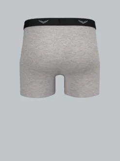 Pants aus Baumwolle/Elastan Grau-melange
