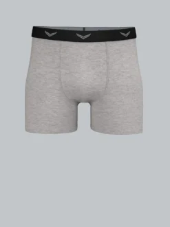 Pants aus Baumwolle/Elastan Grau-melange