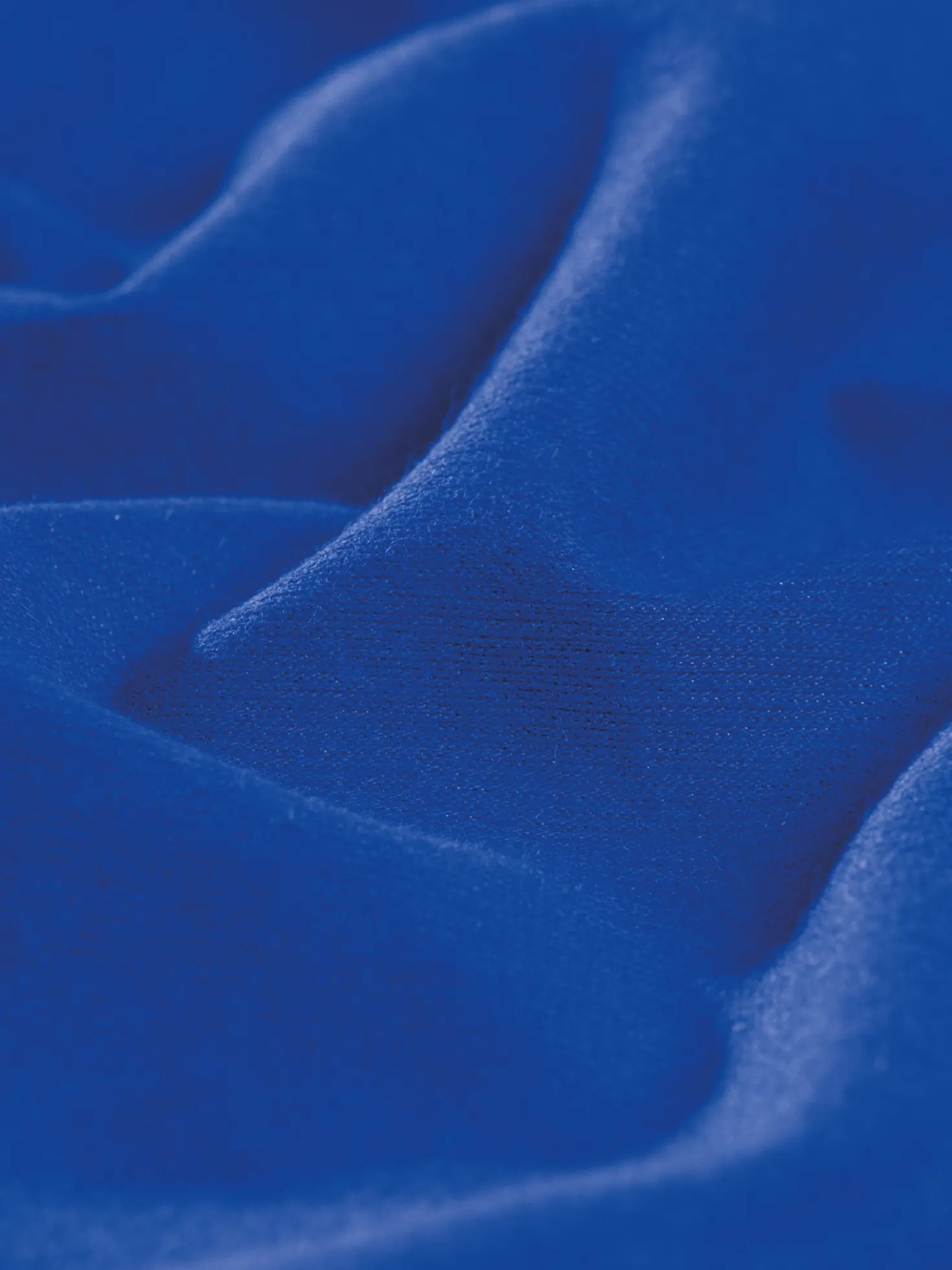 Pants aus Baumwolle/Elastan Royal
