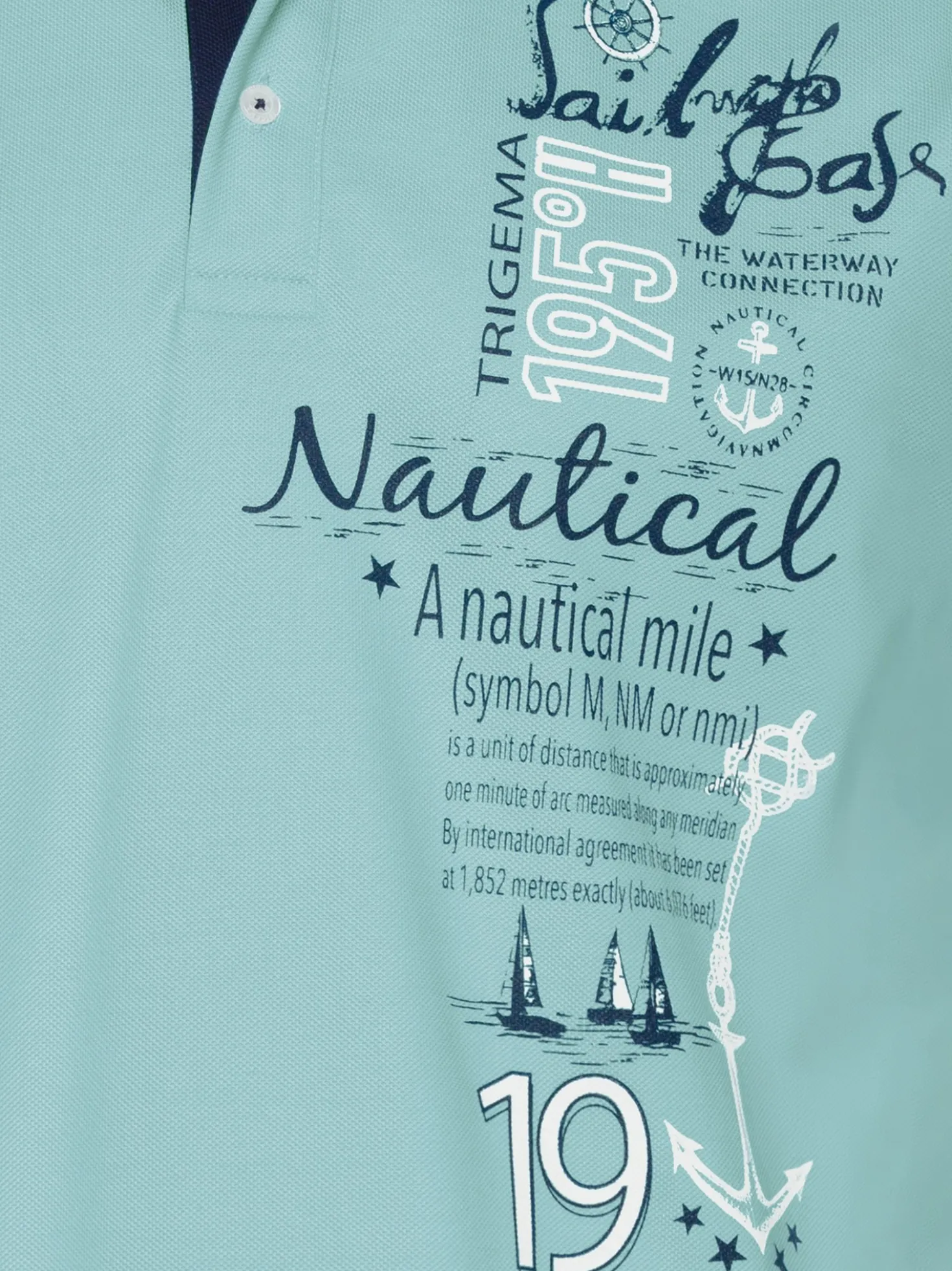 Poloshirt mit maritimem Printmotiv Gletscher