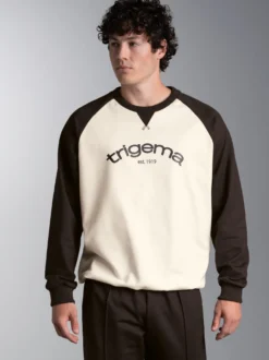 Raglan Sweatshirt mit Kontrastfarben Natur