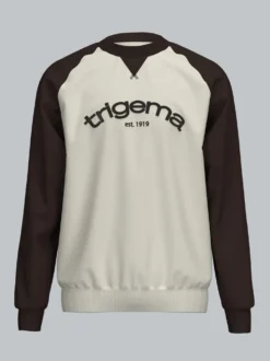Raglan Sweatshirt mit Kontrastfarben Natur