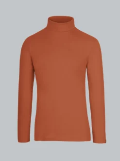 Rollkragenshirt Zimt