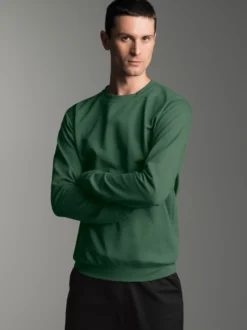 Sweatshirt aus Biobaumwolle Efeu