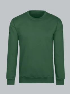 Sweatshirt aus Biobaumwolle Efeu