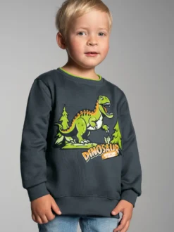 Sweatshirt mit großem Dino-Printmotiv Anthrazit