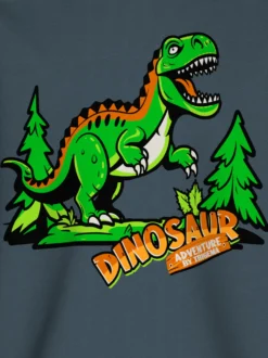 Sweatshirt mit großem Dino-Printmotiv Anthrazit