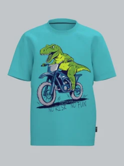 T-Shirt mit Dino Motiv "No Risk No Fun" Mint
