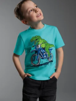 T-Shirt mit Dino Motiv "No Risk No Fun" Mint