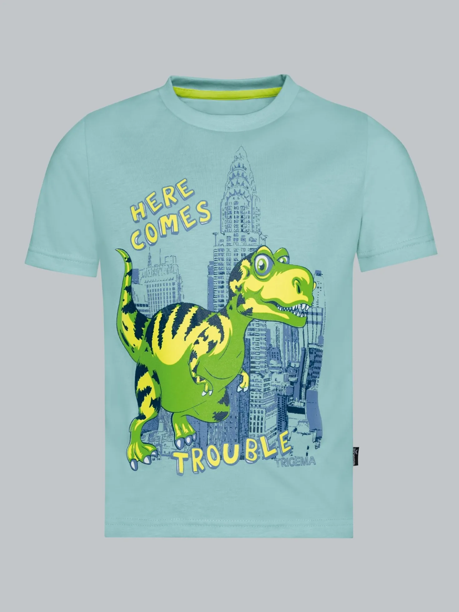 T-Shirt mit großem Dino-Printmotiv Gletscher