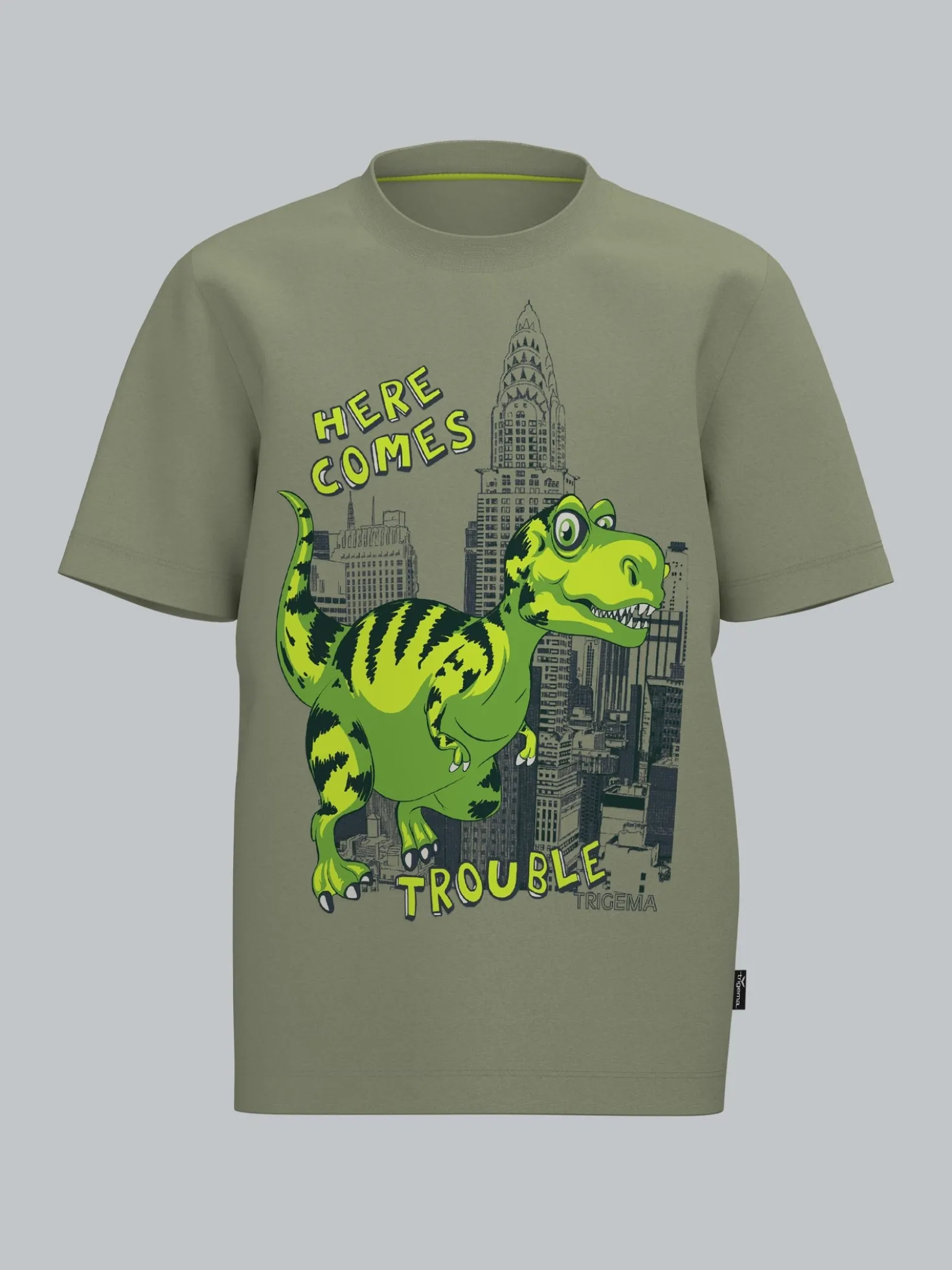 T-Shirt mit großem Dino-Printmotiv Salbei